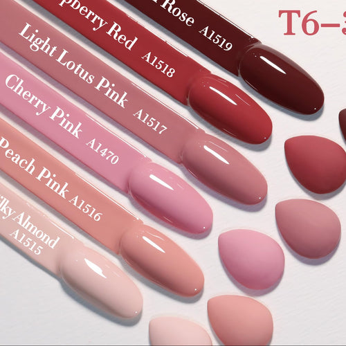 6 Pcs 15 ML Gel Polish Set Same Color Same Bottle Soak Off Gel Polish Kit Nail Art Manicure Salon DIY at Home for Women (Burgundy Red Nude Pink Purple Beige-T6-3)
